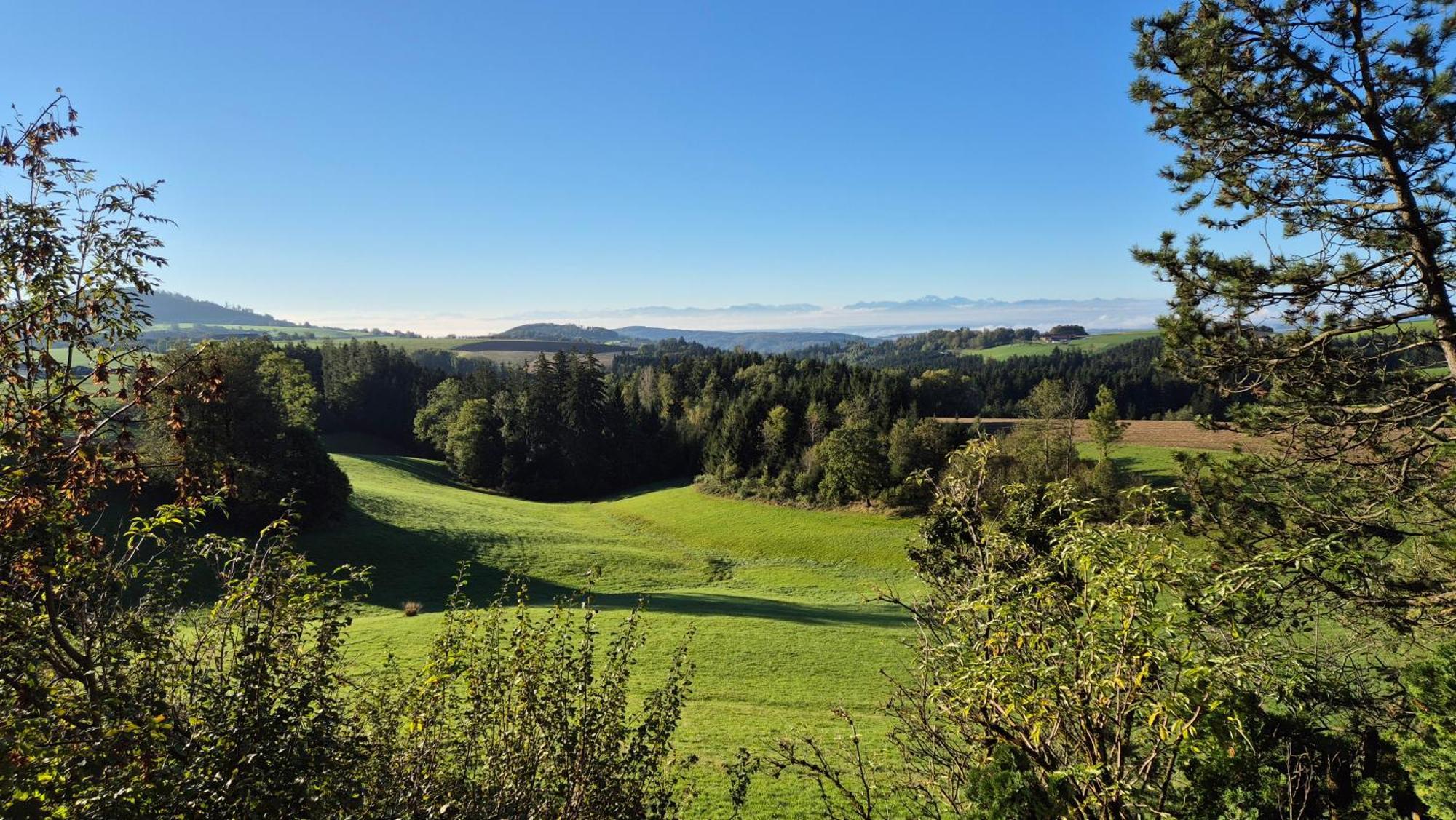 Cottage Alpenblick Gramastetten 外观 照片