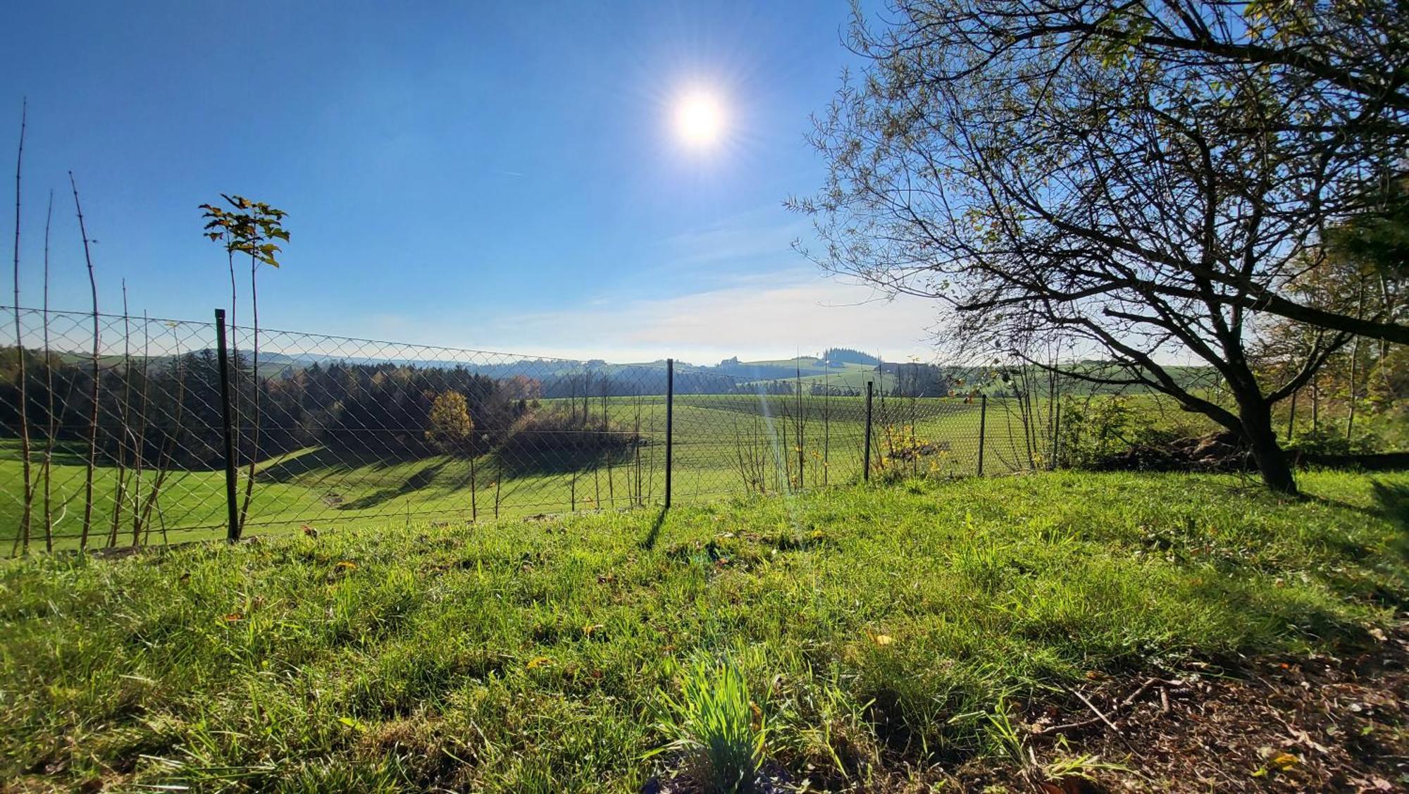 Cottage Alpenblick Gramastetten 外观 照片